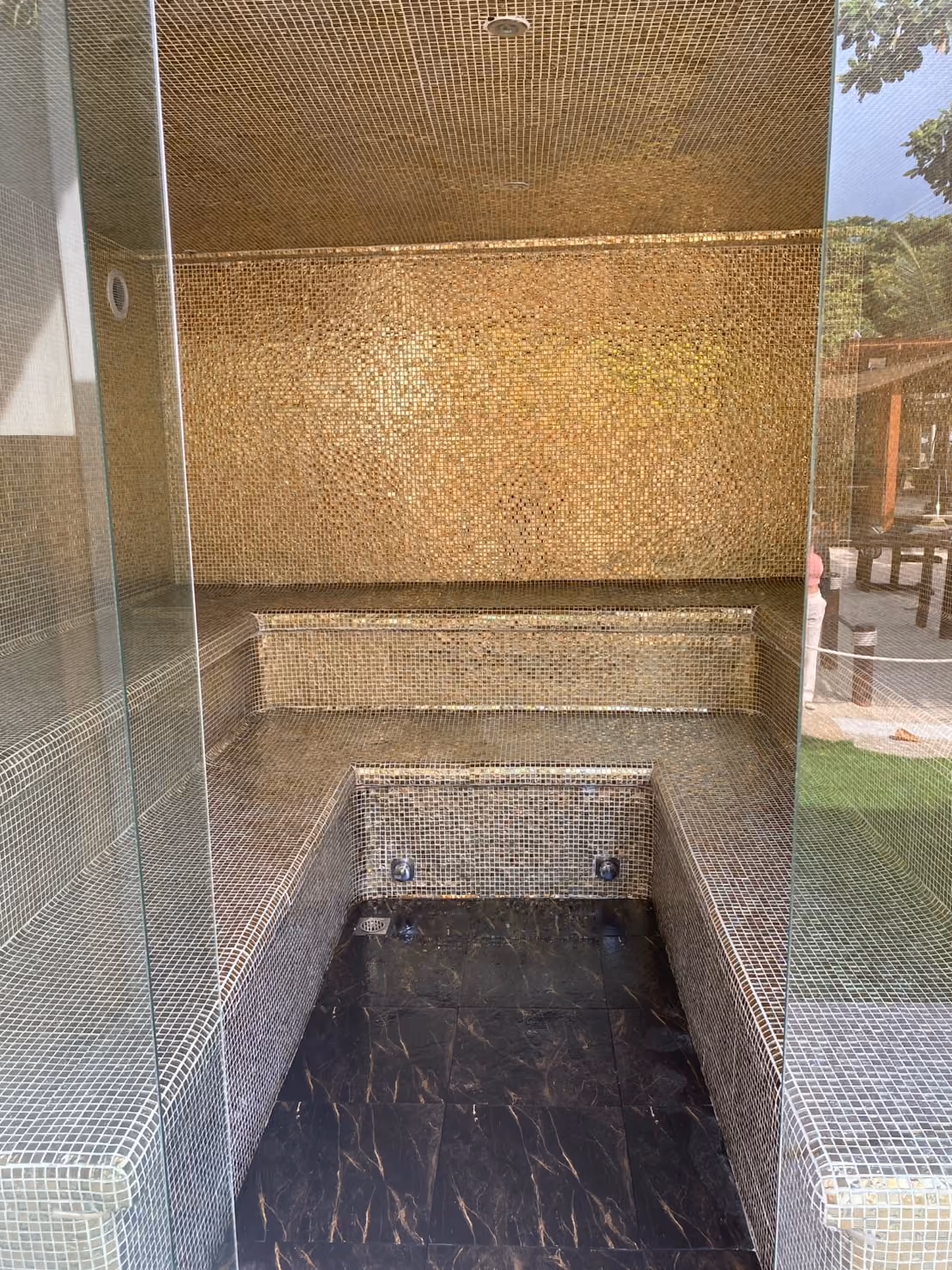 Sauna, Steam & Ice Bath — 3